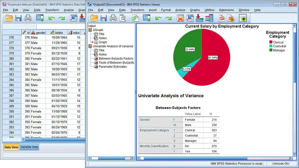 SPSS konsult